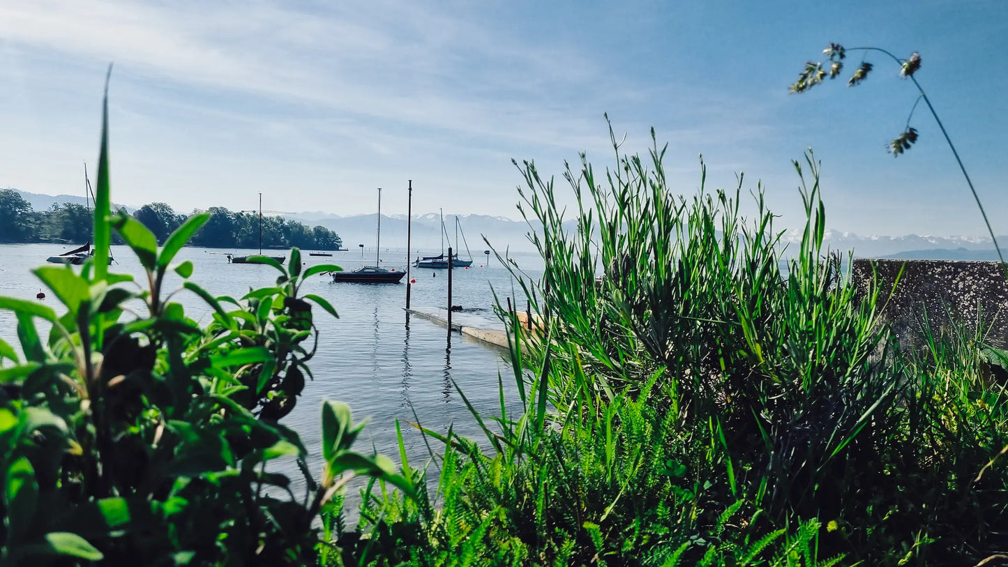 Sundowner Kräuter- und Genusstour ab Wasserburg 2026