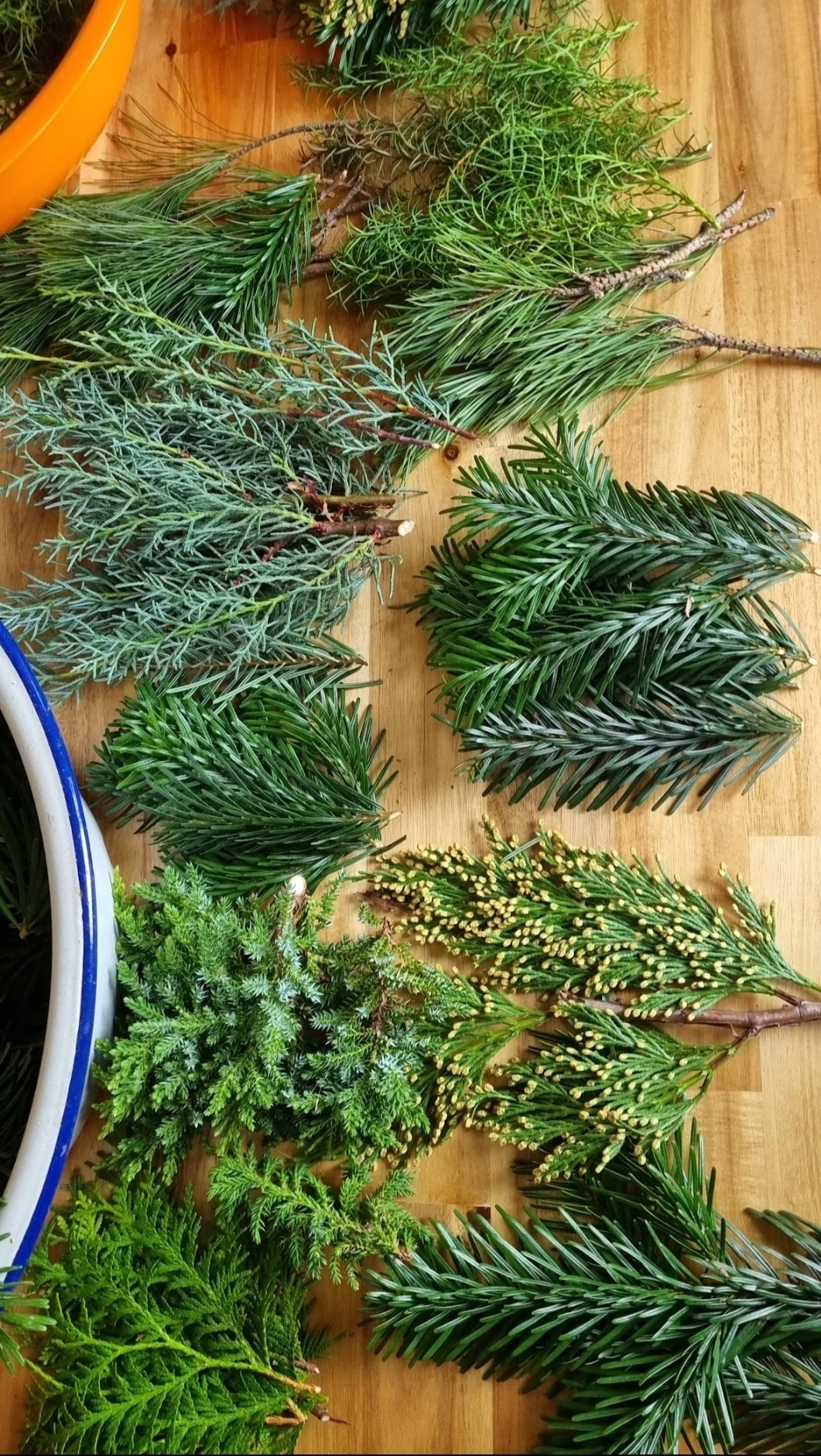 Adventskranz-Workshop + Wand - Loop 26. November 2025
