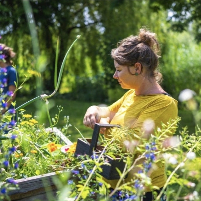 Kräuterhandwerker/in-Ausbildung an 7 Samstagen