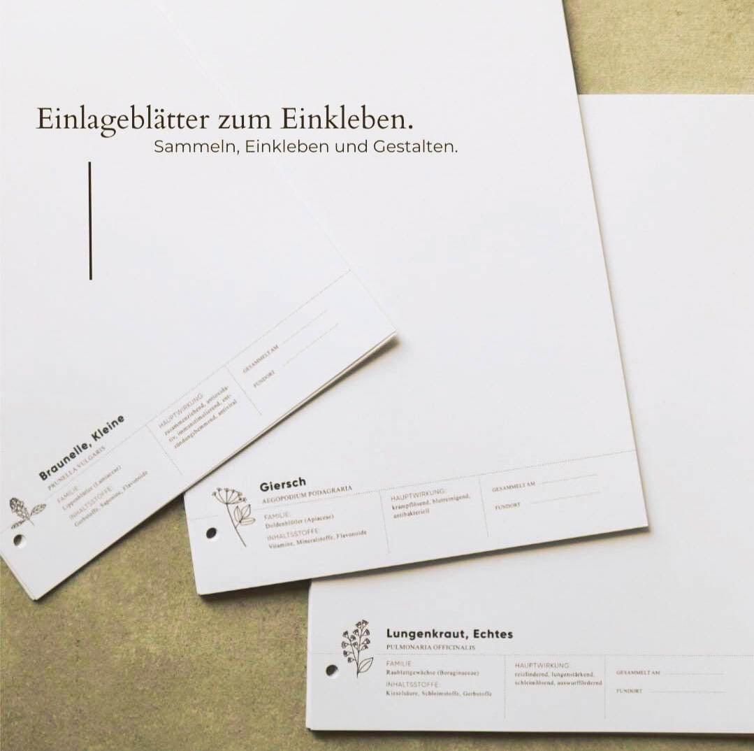 Herbarium - Zum Ausfüllen und Einkleben