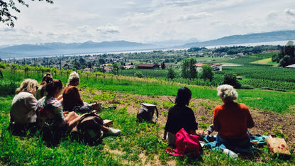 Panorama-Kräutertour durch das Bodolzer Wäldchen