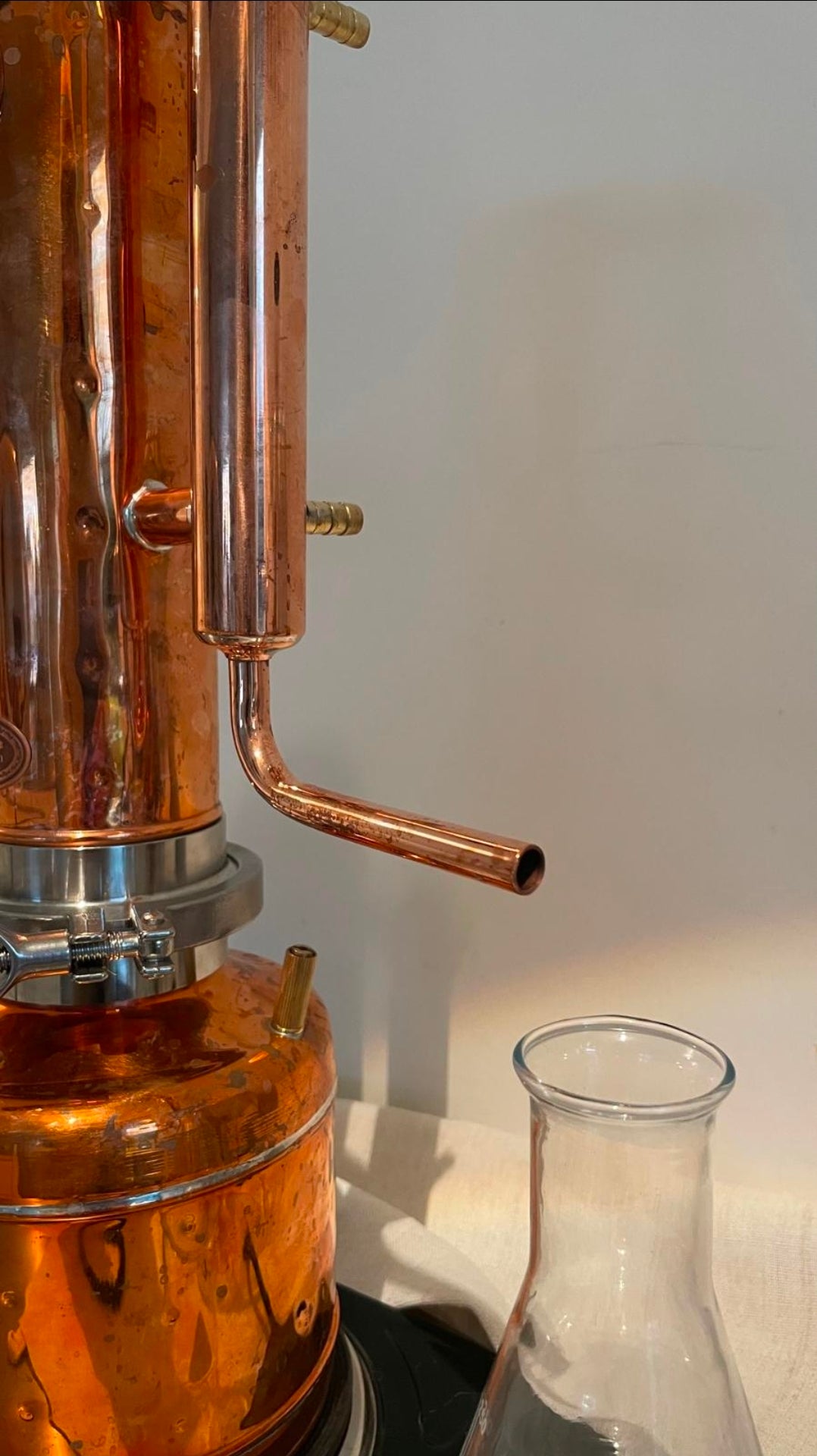 Die Essenz  der Pflanzen- Destillieren & selbstgemachte Naturkosmetik