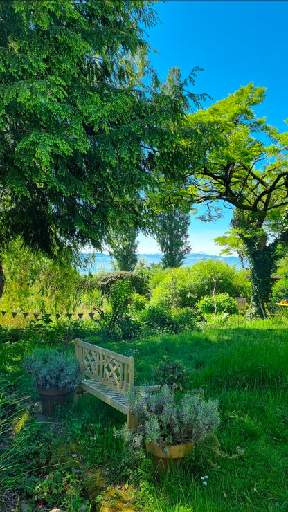 Die Essenz  der Pflanzen- Destillieren & selbstgemachte Naturkosmetik