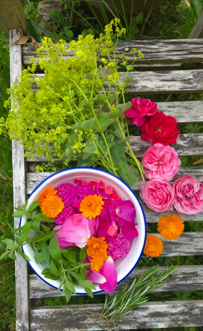 Bunte Kräutertage im Sommer