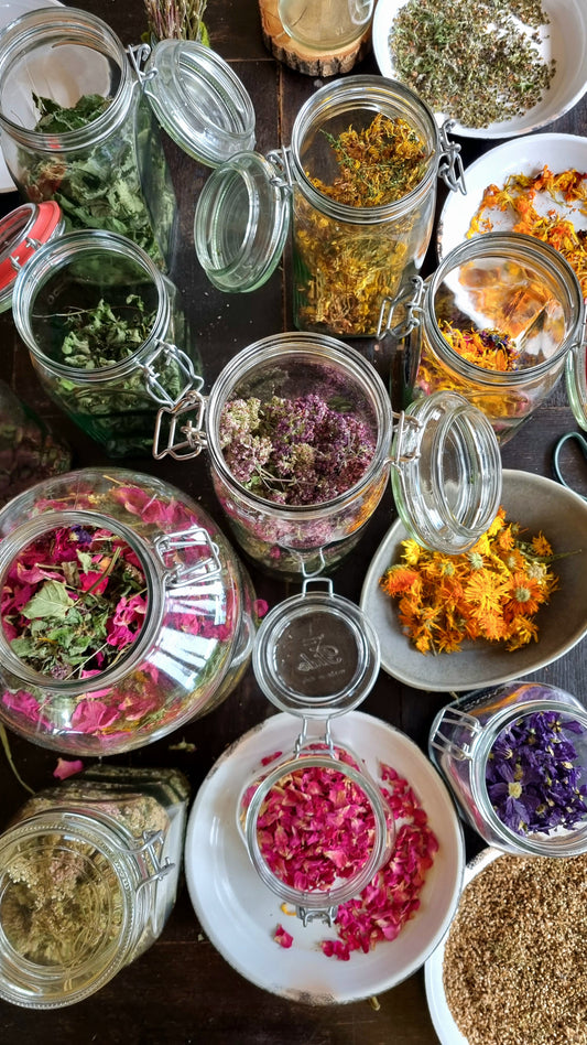 ONLINE: Teekräuter 27. August ab. 18.00 Uhr