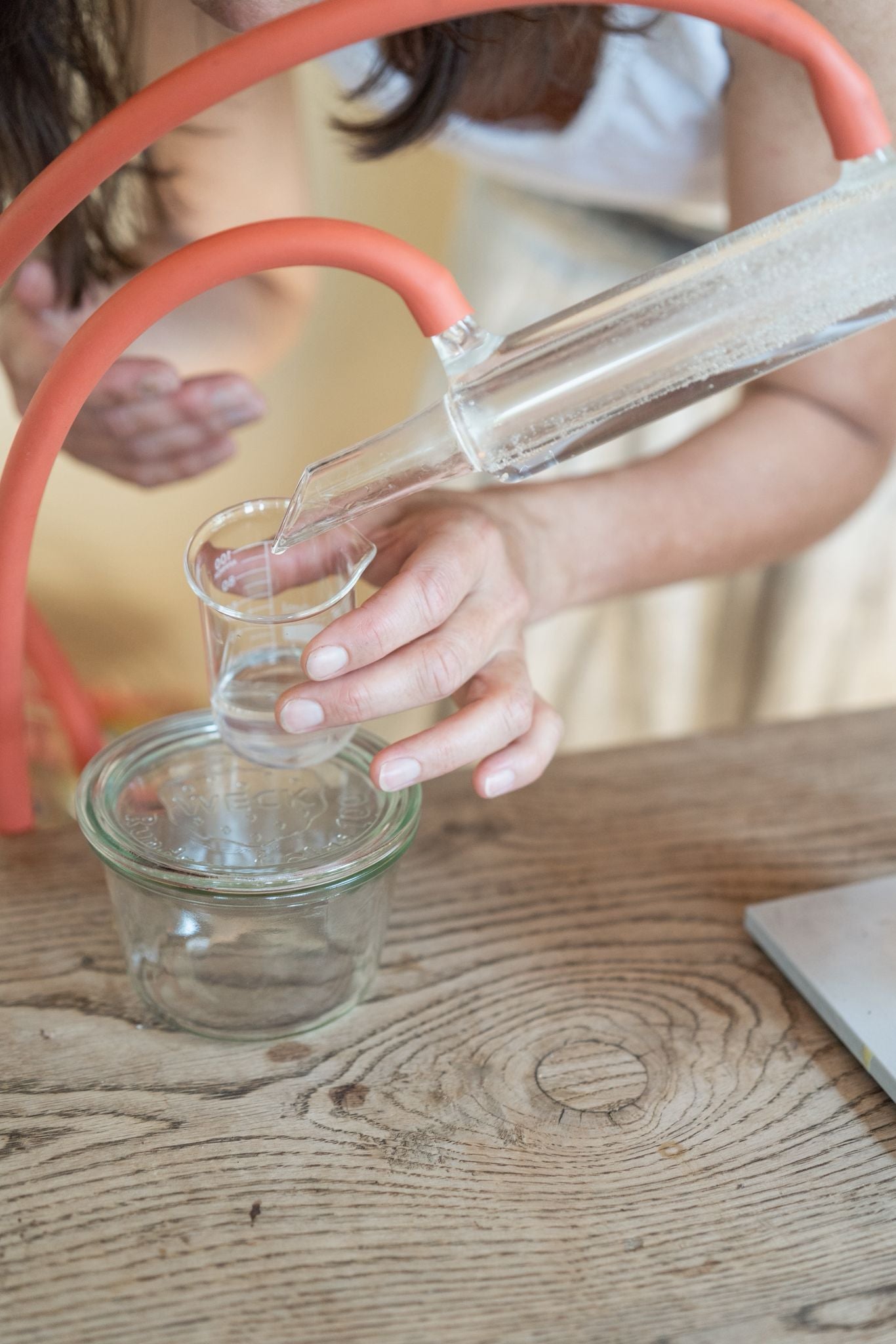 Die Essenz  der Pflanzen- Destillieren & selbstgemachte Naturkosmetik